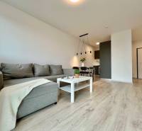 KOMPLETNE ZARIADENÝ SVETLÝ 2-IZB. BYT, NOVOSTAVBA NUPPU, HRANIČNÁ UL. - Obývacia izba s podlahou s dreveným dekorom, pohovkou a jedálenským stolom v 2-izbovom byte.