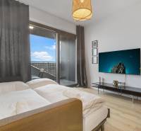 - PREDAJ - APARTMÁN - 38 m2 + 14 m2 LOGGIA - TEHELNÉ POLE - 1-izbový byt s posteľou, televízorom, rastlinou a podlahou s dreveným dekorom.