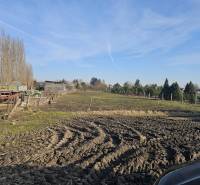 Predám pozemok v Tešedíkove - 994m2  - Pozemky v Tešedíkove vhodné na bývanie s výhľadom na stromoradie.