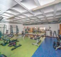 Luxusný byt  Alicante, 112m2, bazén, 2 garáže, posilňovňa - Posilňovňa so strojmi a zrkadlom v 2-izbovom byte.