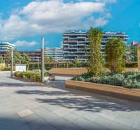 Luxusný byt  Alicante, 112m2, bazén, 2 garáže, posilňovňa - Moderná architektúra v Alicante s výhľadom na 2-izbový byt, obklopená zeleňou.