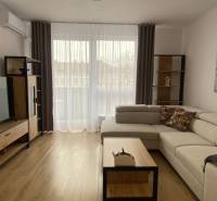 PRENÁJOM luxusný 2 izbový byt v centre mesta Nitra, parkovanie - Obývacia izba v 2-izbovom byte s podlahou s dreveným dekorom, svetlou sedačkou a televíziou.