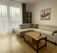 PRENÁJOM luxusný 2 izbový byt v centre mesta Nitra, parkovanie - Obývacia izba s pohovkou, podlahou s dreveným dekorom a nábytkom v 2-izbovom byte.