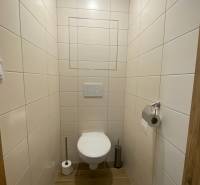 PRENÁJOM luxusný 2 izbový byt v centre mesta Nitra, parkovanie - Toaleta s obkladmi a podlahou s dreveným dekorom v 2-izbovom byte.