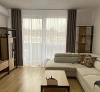 PRENÁJOM luxusný 2 izbový byt v centre mesta Nitra, parkovanie - Obývacia izba so sedačkou, televízorom a podlahou s dreveným dekorom v 2-izbovom byte.