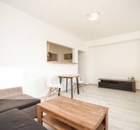 2i byt 43m2 + parkovacie miesto, Hodžova ul., Trenčín - Obývacia izba v 2-izbovom byte s podlahou s dreveným dekorom a jednoduchým nábytkom.