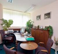 PRENÁJOM kancelárie 27 m2 - Technopol, Kutlíkova ul. - Kancelária so stolmi, stoličkami, počítačom a rastlinami, podlaha s kobercovým dekorom.
