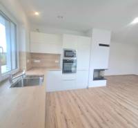 | 4 izbový rodinný dom s krbom a terasov | Slnečná | Ružindol - Biela kuchyňa s dreveným dekorom a vstavaným krbom v rodinnom dome.