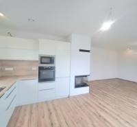 | 4 izbový rodinný dom s krbom a terasov | Slnečná | Ružindol - Kuchyňa s krbom a podlahou s dreveným dekorom v rodinnom dome.