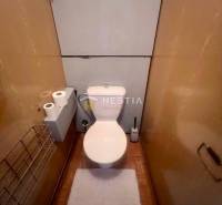 NOVINKA 3 izbový byt v Brezovej pod Bradlom s krásnym výhľadom - Toaleta v 3-izbovom byte s dreveným dekorom a úložnými riešeniami.