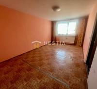 NOVINKA 3 izbový byt v Brezovej pod Bradlom s krásnym výhľadom - Izba s podlahou s dreveným dekorom a pastelovými stenami v 3-izbovom byte.