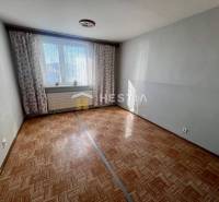 NOVINKA 3 izbový byt v Brezovej pod Bradlom s krásnym výhľadom - Izba v 3-izbovom byte s podlahou s dreveným dekorom a svetlom šedými stenami.