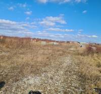 Na predaj krásny slnečný pozemok Nové Zámky ! - Pozemky na bývanie v Nových Zámkoch s prírodným porastom a jasnou oblohou.