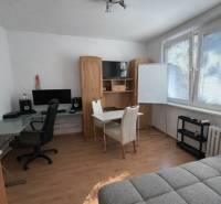 Predaj 3.izbového bytu v Ružinove v obkolesené borovicového lesíka - Interiér 3-izbového bytu s podlahou s dreveným dekorom, pracovným stolom a pohovkou.