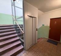 Predaj 3.izbového bytu v Ružinove v obkolesené borovicového lesíka - V bytovom dome sa nachádzajú schody, výťah a dvere 3-izbového bytu.