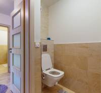 2 byty v 1 už s nájomníkmi | okamžitý príjem 1600 €/mes | 4.87% - Toaleta s keramickými obkladmi, pohľad do kúpeľne v 3-izbovom byte.