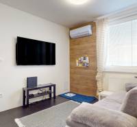 2 byty v 1 už s nájomníkmi | okamžitý príjem 1770€/mes | 4.08% - Obývacia izba v 5 a viac izbovom byte so sedačkou, TV a drevenými dekoráciami.