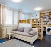 2 byty v 1 už s nájomníkmi | okamžitý príjem 1770€/mes | 4.08% - Obývacia izba v 5 a viac izbovom byte s podlahou s dreveným dekorom a kuchyňou.