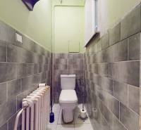 5iz byt s vysokými stropmi a výťahom pri EUROVEA | 136 m² - Toaleta so zelenými obkladmi a radiátorom v 5 a viac izbovom byte.