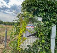 Stavebný pozemok pre RD | všetky podklady | 528 m² |Bernolákovo - Zelené popínavé rastliny pokrývajú plot na ulici Poľná v Bernolákove, vhodné pre Pozemky - bývanie.