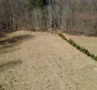 Pozemok v katastrálnom území obce Kľak, o rozlohe 2002 m2 - Rekreačné pozemky v Kľaku s trávnatým porastom, lemované ihličnatými stromami, pri lese.