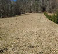 Pozemok v katastrálnom území obce Kľak, o rozlohe 2002 m2 - Rekreačné pozemky pri Kľaku s trávnatou plochou a ihličnatými stromami na okraji lesa.