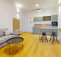 | Butiková 1,5i rezidencia s balkónom | Historická mestská - Obývačka v 2-izbovom byte s podlahou s dreveným dekorom, pohovkou a kuchyňou.