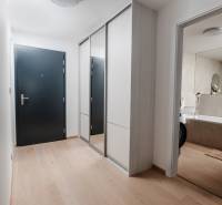 | E2Tower | 20.poschodie | 2i byt | panoramatický výhľad |  - Chodba v 2-izbovom byte s podlahou s dreveným dekorom a vstupom do kúpeľne.