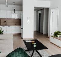 | E2Tower | 20.poschodie | 2i byt | panoramatický výhľad |  - Obývačka v 2-izbovom byte so sedačkou, kuchyňou a podlahou s dreveným dekorom.