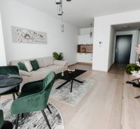 | E2Tower | 20.poschodie | 2i byt | panoramatický výhľad |  - Obývacia izba v 2-izbovom byte s podlahou s dreveným dekorom, vankúše a rastliny.