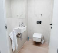 | E2Tower | 20.poschodie | 2i byt | panoramatický výhľad |  - Kúpeľňa 2-izbového bytu s toaletou, umývadlom a podlahou s dreveným dekorom.