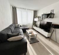 NA PREDAJ ŠTÝLOVÝ 2- IZBOVÝ BYT, 50m2, SÍDLISKO 2, PREŠOV - Obývačka v 2-izbovom byte s podlahou s dreveným dekorom a sedačkou.