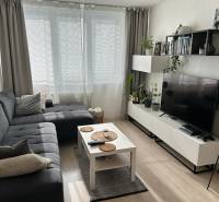 NA PREDAJ ŠTÝLOVÝ 2- IZBOVÝ BYT, 50m2, SÍDLISKO 2, PREŠOV - Obývacia izba v 2-izbovom byte s pohovkou a stolíkom, podlahy s dreveným dekorom.