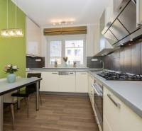 VEĽKÝ ZARIADENÝ 2IB PO KOMPLETNEJ REKONŠTRUKCII - Kuchyňa v 2-izbovom byte s podlahou s dreveným dekorom a zelenou stenou.