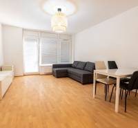 Luxusný 2-izbový byt + 2 balkóny, 73 m², garážové státie, Ružinov - Obývacia izba v 2-izbovom byte s podlahou s dreveným dekorom a šedou sedacou súpravou.