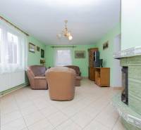 RD s VEĽKÝM POZEMKOM V SRDCI PRÍRODY, Tŕstie - Obývacia izba v Rodinnom dome s krbom, zelenými stenami a koženou sedačkou.