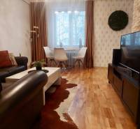 Vkusný, moderný 2 izb, klíma, 870 s ener., Sibírska ul./Nové Mesto - Obývačka v 2-izbovom byte s podlahou s dreveným dekorom, pohodlnou sedačkou a televíziou.