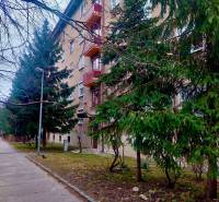 Vkusný, moderný 2 izb, klíma, 870 s ener., Sibírska ul./Nové Mesto - Ulica Sibírska v Bratislave - Nové Mesto s panelovým bytovým domom a stromami.