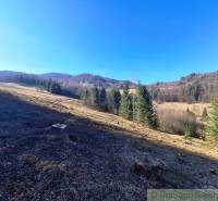 Veľký pozemok na čarovnom mieste polosamota Hronec 2. - Krásna prírodná scenéria poľnohospodárskych a lesných pozemkov v Hronci so stromami a lúkami.