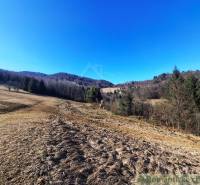 Veľký pozemok na čarovnom mieste polosamota Hronec 2. - Scenéria Poľnohospodárskych a lesných pozemkov v Hronci s rozľahlými lúkami a lesmi.