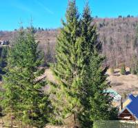 Veľký pozemok na čarovnom mieste polosamota Hronec 2. - Poľnohospodárske a lesné pozemky v Hronci, lesy a strechy domov.