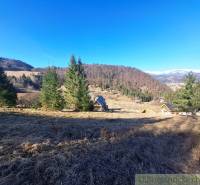 Veľký pozemok na čarovnom mieste polosamota Hronec 2. - Poľnohospodárske a lesné pozemky v Hronci, obklopené kopcami a ihličnatými stromami.