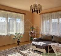 Vidiecky dom v gemerskej obci Bretka - Obývacia izba v rodinnom dome so sedačkou, stolíkom, kvetinou a podlahou s dreveným dekorom.