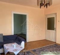 Vidiecky dom v gemerskej obci Bretka - Obývacia izba v rodinnom dome s podlahou s dreveným dekorom, pohovkou a kobercom.