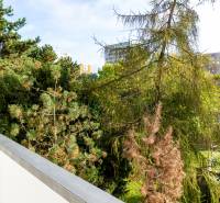  NEZARIADENÝ 3-izb.byt, 11m2 LODŽIA, BA IV., Červeňákova - Balkón 3-izbového bytu na Červeňákovej ulici v Bratislave - Dúbravke s pohľadom na stromy.