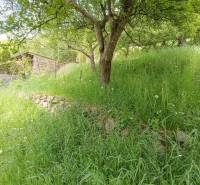 Predaj domu v Janovej Lehote - Záhrada s ovocnými stromami a drevenou kôlňou v Janovej Lehote pri rodinnom dome.