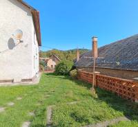 : Predaj rodinného domu s veľkým pozemkom v obci Pitelová  - Exteriér rodinného domu v Pitelovej so satelitom, trávnikom a tehlovým plotom.