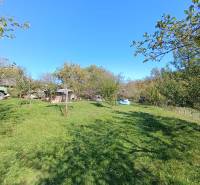 : Predaj rodinného domu s veľkým pozemkom v obci Pitelová  - Záhrada v Pitelovej s trávnikom, stromami a drevenou chatkou pri rodinnom dome.