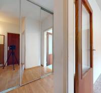 RADO I 2 IZBOVY BYT s loggiou I Adámiho ul. KARLOVA VES - Chodba v 2-izbovom byte s podlahou s dreveným dekorom a zrkadlovou skriňou.