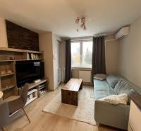 REZERVOVANÉ-PREDAJ 2 izbový byt s garážou v skvelej lokalite v Ružinov - Obývacia izba s podlahou s dreveným dekorom, pohovkou a televízorom v 2-izbovom byte.